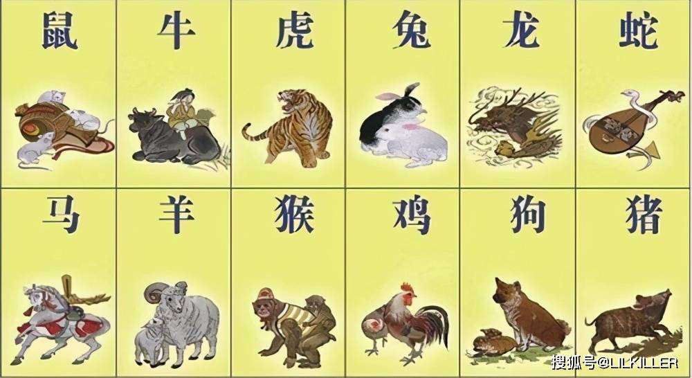 龙到天宫告猴王兔儿飞奔报喜来狗在门前守其是什么生肖详细解答、综合解答解释落实