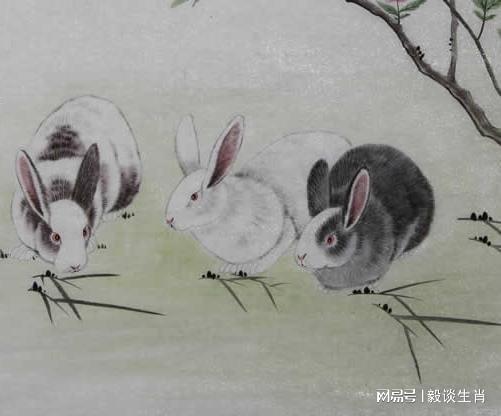 龙到天宫告猴王兔儿飞奔报喜来狗在门前守其是什么生肖详细解答、综合解答解释落实