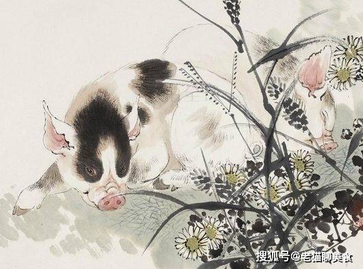 英雄见惯也平常,循循善诱最理想指什么生肖详细解答、详细解答解释落实